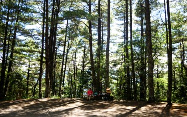 照片：「bluehawaii」BLOG