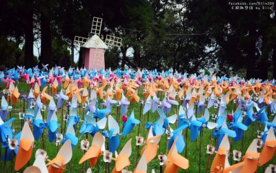 照片：「Elin*一粒」BLOG