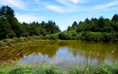 照片：「bluehawaii」BLOG