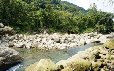 照片：「julia」BLOG