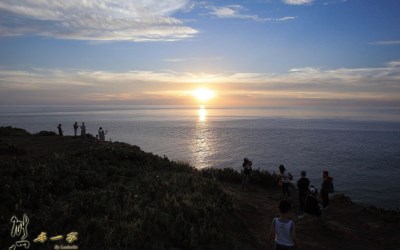 照片：「熊本一家」BLOG
