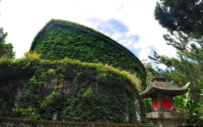 照片：「Brian」BLOG