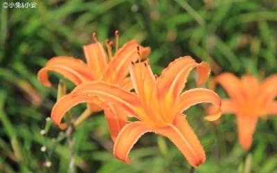 照片：「小兔」BLOG