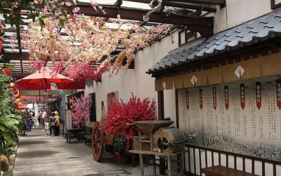照片：「佑佑皮皮」BLOG