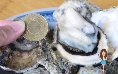 照片：「黑洞雪莉」BLOG