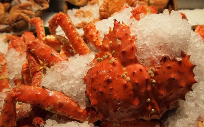 照片：「妮可」BLOG