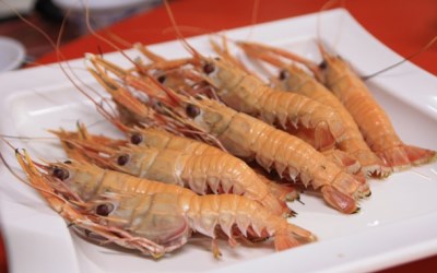 照片：「美食魚樂誌‧小魚」BLOG