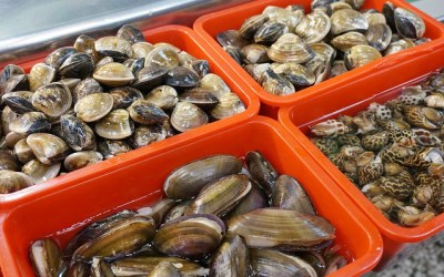 照片：「mikageyoru」BLOG