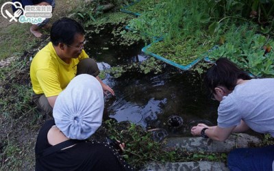 照片：「Anise」BLOG