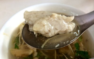 照片：「披著虎皮的貓」BLOG