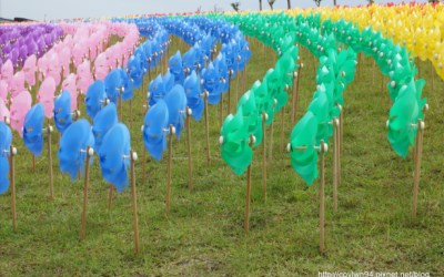 照片：「蘇菲」BLOG