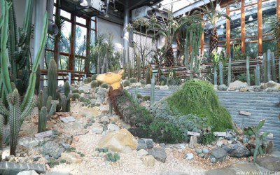 照片：「VIVIYU」BLOG