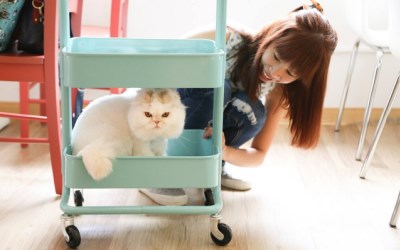 照片：「葉訪」BLOG