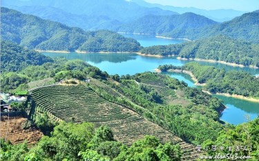 照片：「愛小莎」BLOG