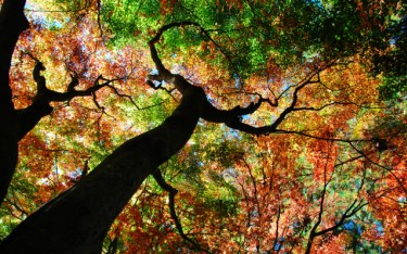 照片：「TAO」BLOG