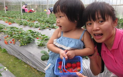 照片：「hhsshh」BLOG