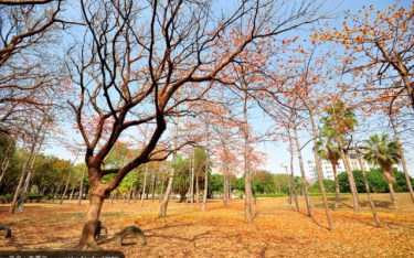照片：「許傑」BLOG