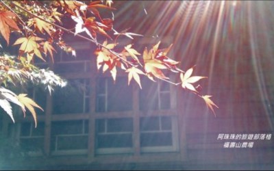 照片：「阿珠珠」BLOG