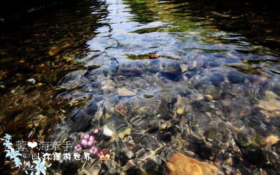 照片：「蓉蓉」BLOG