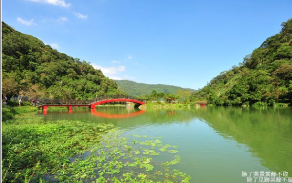 照片：「球球」BLOG