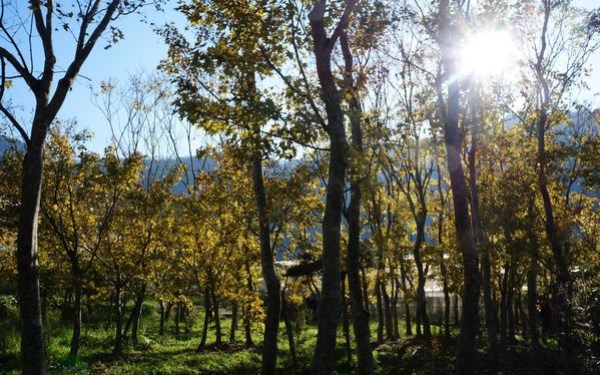 照片：「王拉拉」BLOG
