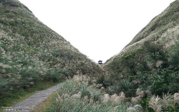 照片：「Elin*一粒」BLOG