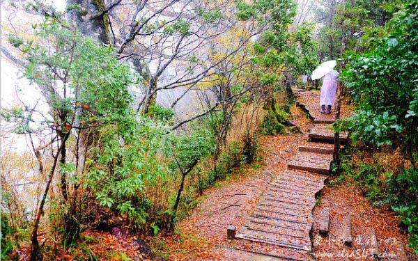 照片：「愛小莎」BLOG