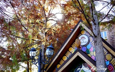 照片：「西西」BLOG