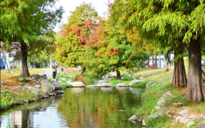 照片：「小玉兒」BLOG