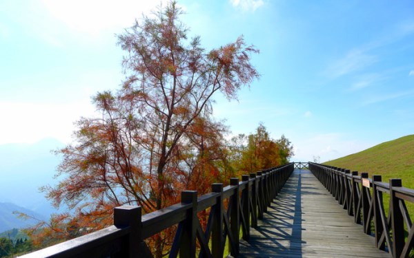 照片：「annielin」BLOG