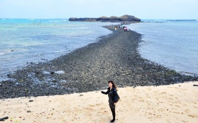 照片：「青青」BLOG