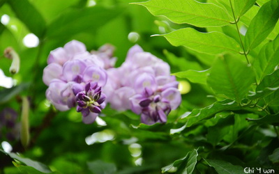 照片：「奇緣」BLOG