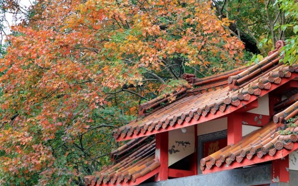 照片：「小兔」BLOG