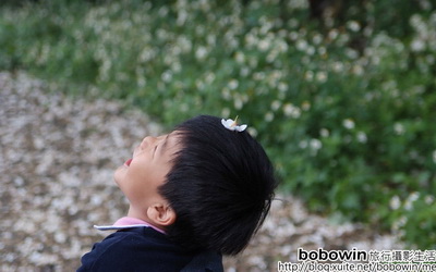 照片：「bobowin」BLOG