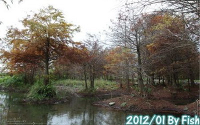 照片：「小魚」BLOG