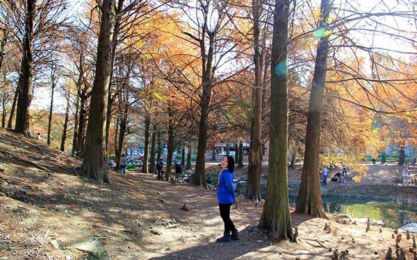 照片：「小兔」BLOG