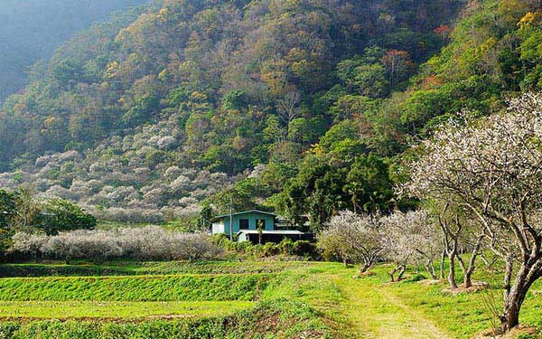 照片：「Leo」BLOG