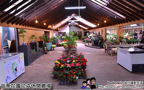 照片：「bobowin」BLOG