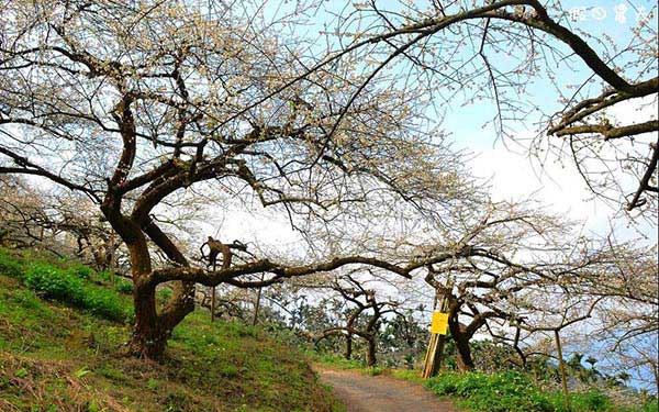 照片：「假日農夫」BLOG