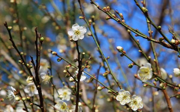 照片：「小潔」BLOG