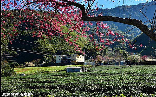 照片：「假日農夫」BLOG