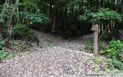 照片：「bobowin」BLOG