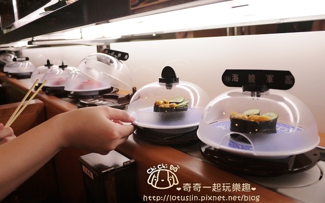 照片：「奇奇一起玩樂趣」BLOG