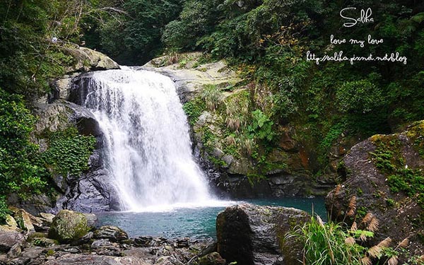 照片：「莎莉哈小姐」BLOG