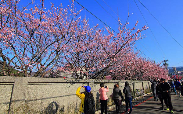 照片：「小風」BLOG