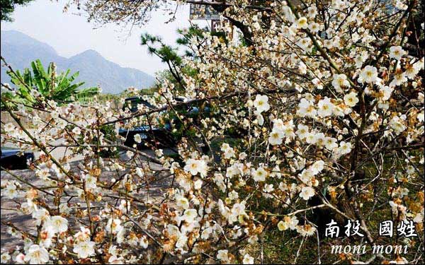 照片：「moni」BLOG