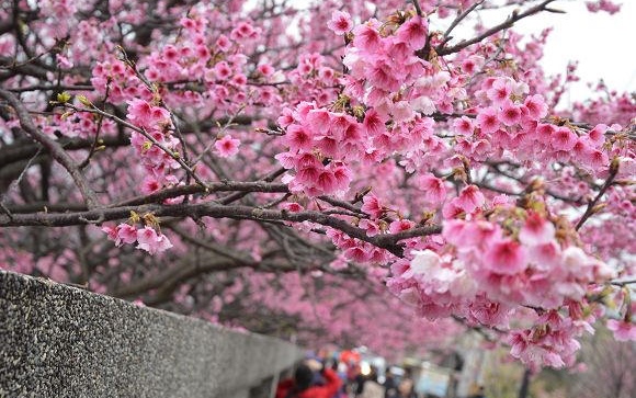 照片：「寶小銘」BLOG
