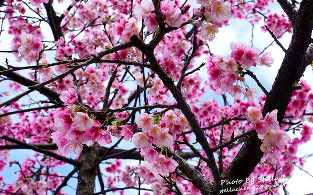照片：「❤Stella史黛拉 ❤」BLOG