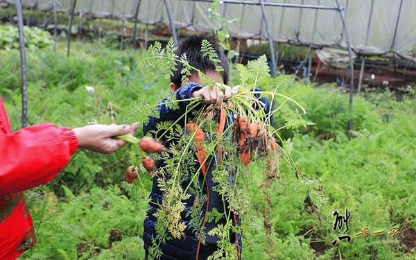 照片：「熊本一家」BLOG