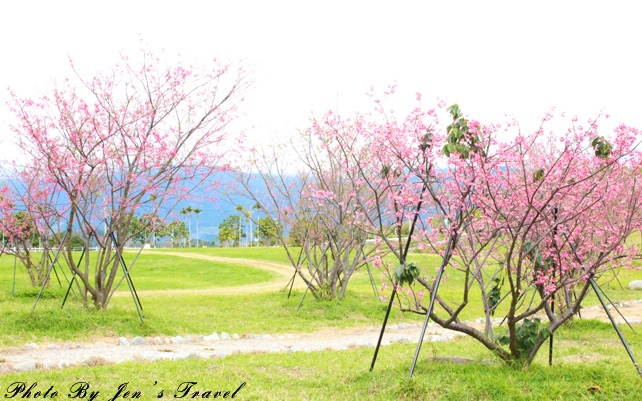 照片：「藍貞貞」BLOG